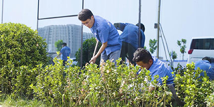 ��8ͷ�����(����)�ٷ���վ