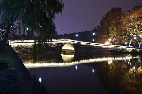 �㽭ʡ�����о���������������