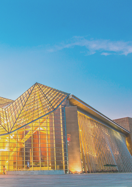 ��8ͷ�����(����)�ٷ���վ