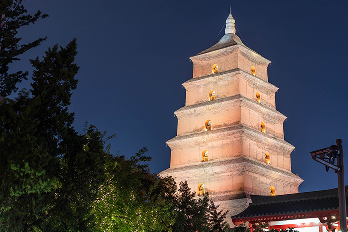 ���޽���������