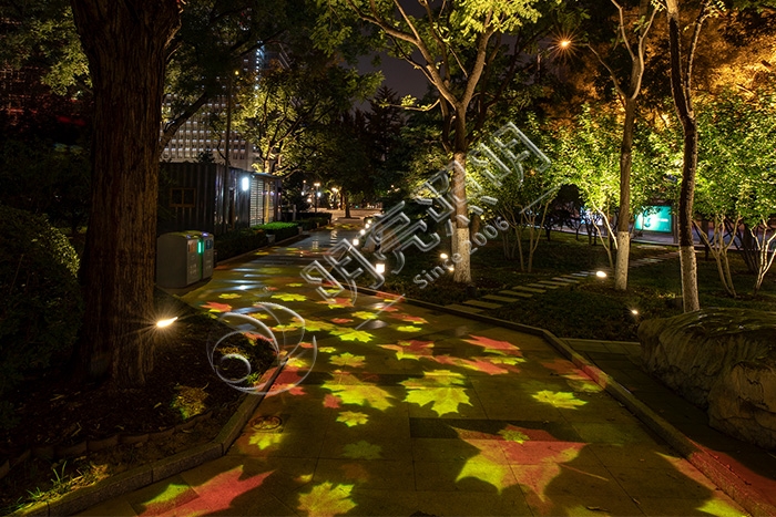 ȫϢ����ͶӰ