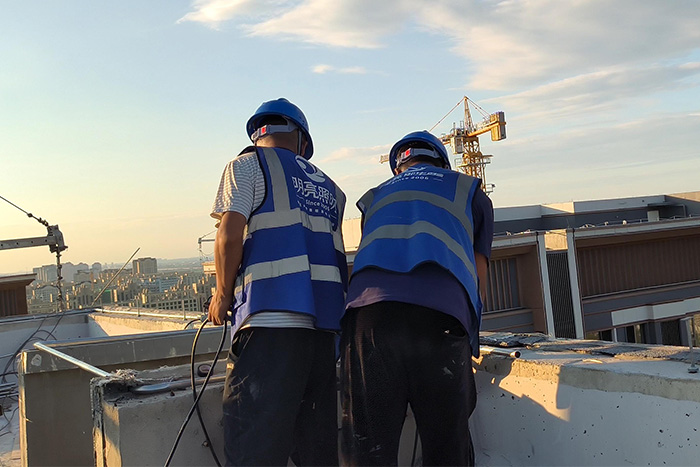 ��8ͷ���������8ͷ����һ�ʩ���ֳ�