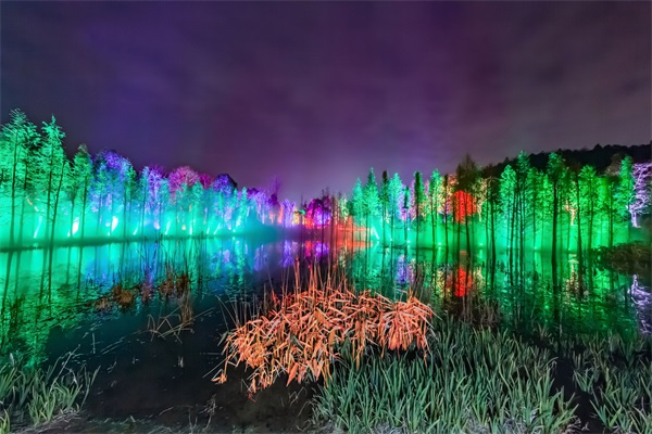 �������̼ƻ����