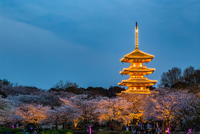 ԰�־�������