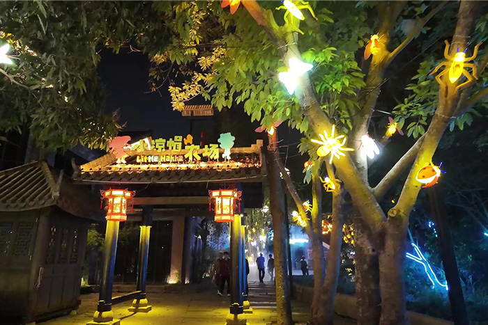 �������õ���˸������