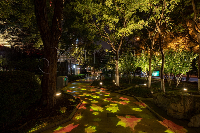 ���ü���ͶӰ