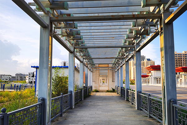 ��̬԰������������ǰ