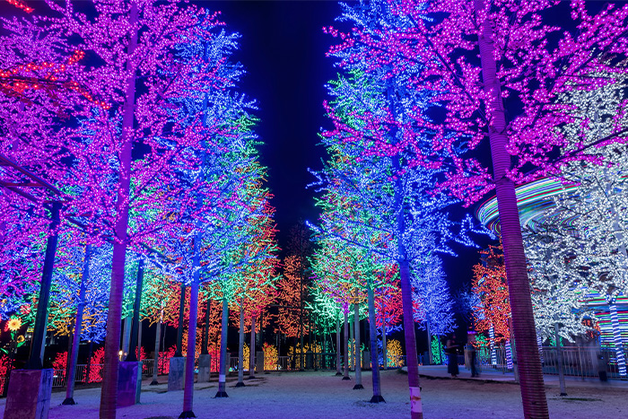 ��ľ�������