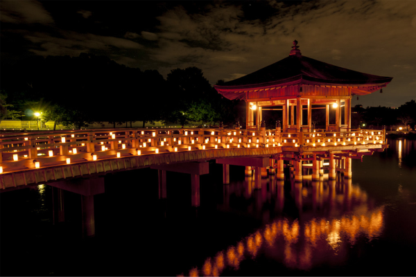 �ƹ������������