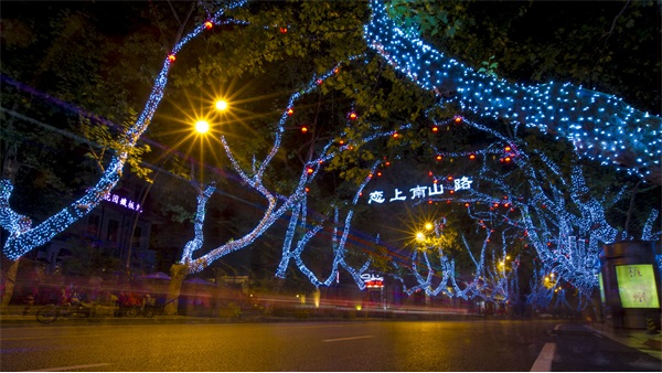 ����������Ƶı�׼�����̶�����Щ��������������