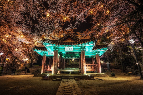 ����������ƹ�˾