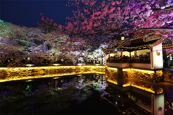 ������������