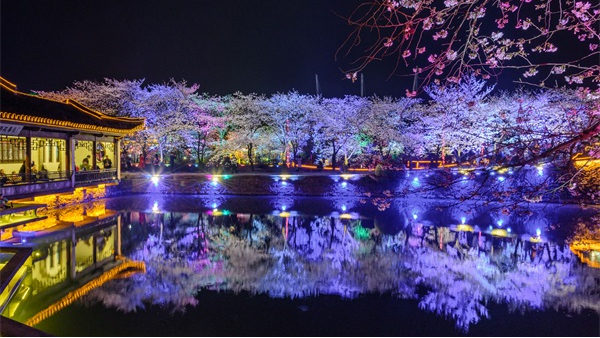 ��������˸����������˺���Ȼ��Э����