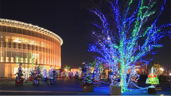 ������������շѱ�׼����Щ��������