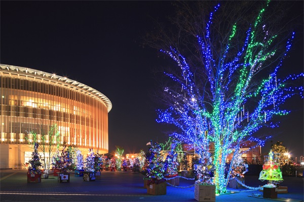 ���ᾰ��ҹ������