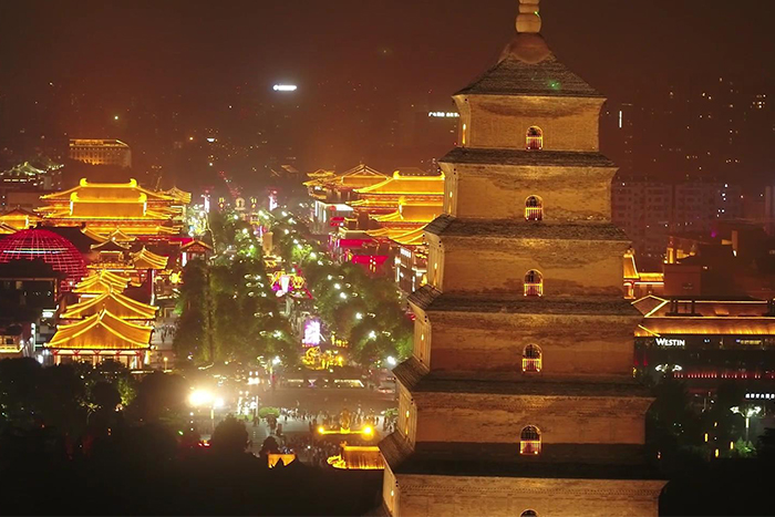 ����ҹ���������