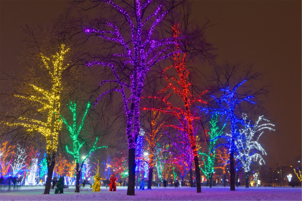 ��԰��ľ����