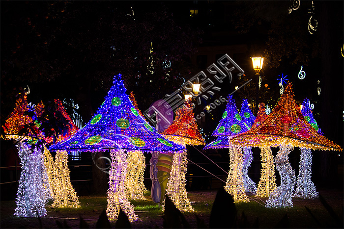 ���ڲʵ����