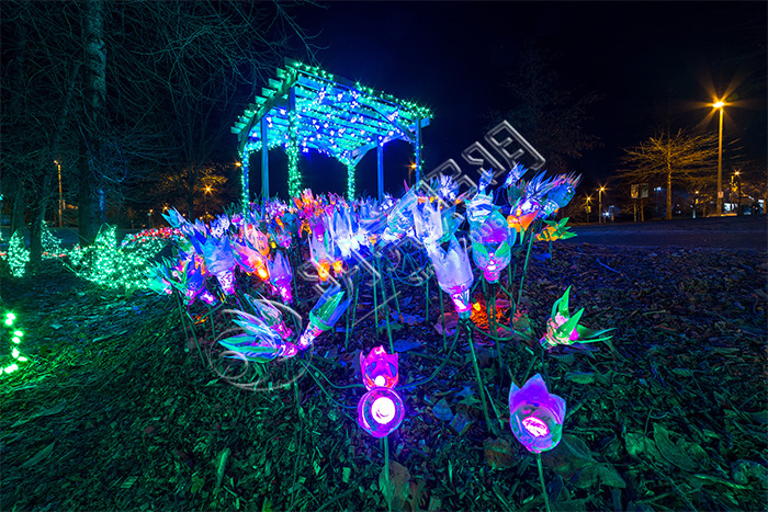 �ʵ���������