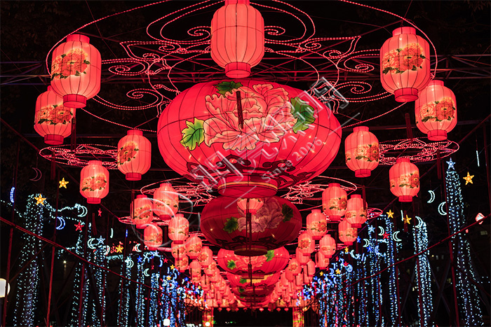 ���ڵ���