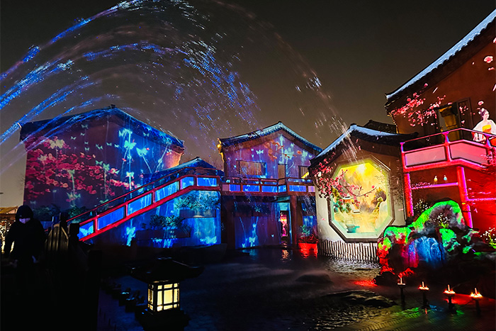 ��������ͶӰ