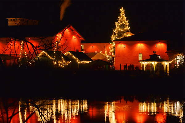 ����ҹ�εƹ�߻�