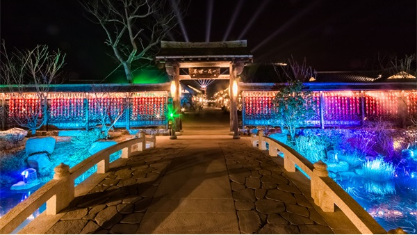 ����ҹ�εƹ���Ƶ���ʽ����Щ��������������