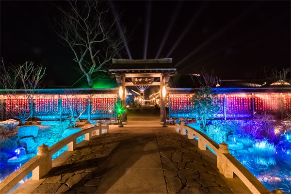 ����ҹ�εƹ����