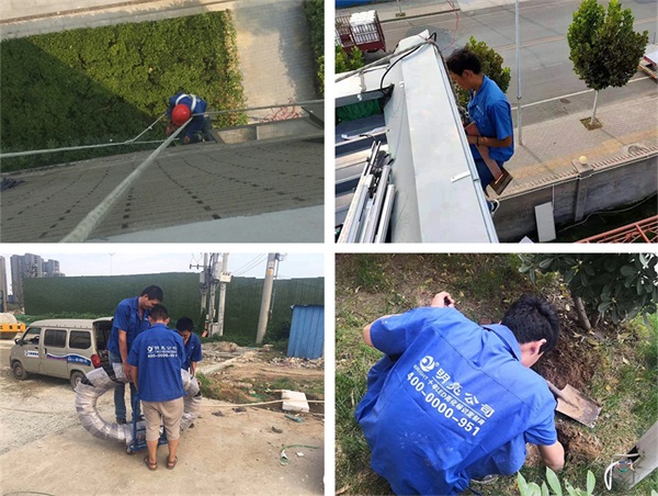 �����л��ӵ�ȺЧ����������ʩ���ֳ�