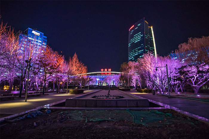 ҹ������