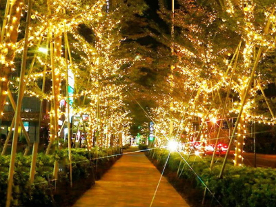 ԰�־����������-ʹ�ù���Ӱ�������Ȼ