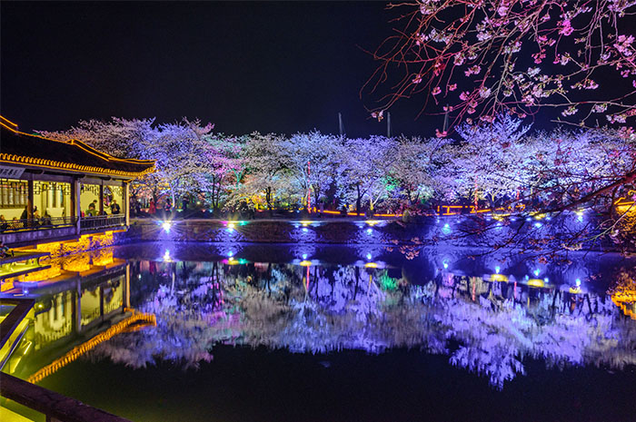 ԰������