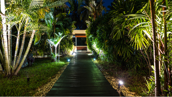 ��Ҫ���������ο�������������԰�ֲ���������������