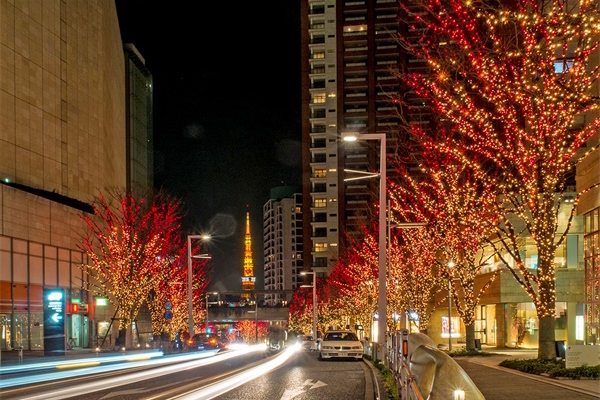 �����辶�������̰�������������Щ��������������