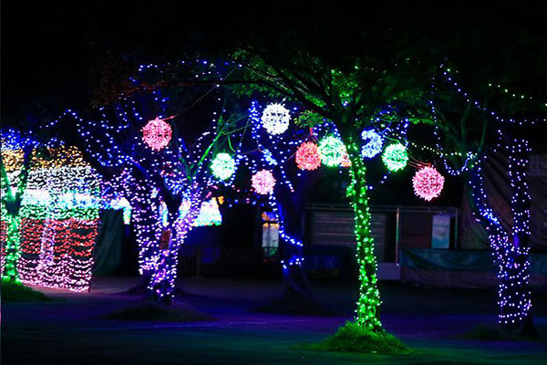 ����������8ͷ����һ�-�ǻ���������Ƶ�Ҫ�����