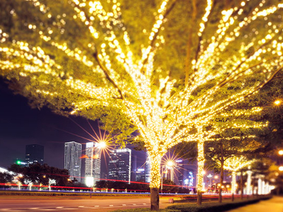 ��ľ����-Ҫ�кϡ�����Ϊ���������