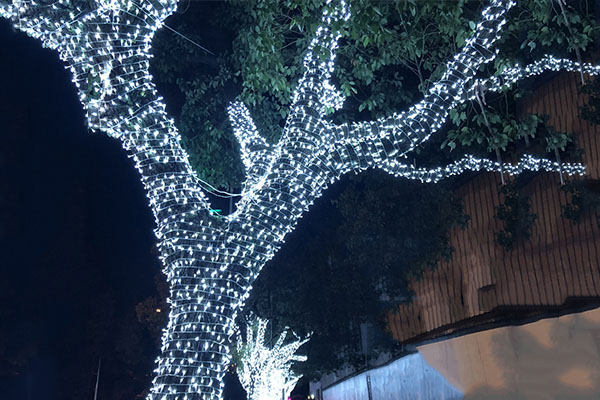 ��ľҹ������-�������Ķ���ҹ������