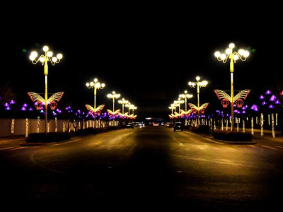 ����ֵ�����-֪��ҹ�佻ͨ����