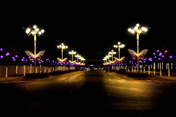 ����ֵ�����-֪��ҹ�佻ͨ����