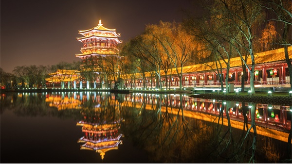 ������������Ӧ���������������