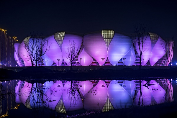 ҹ����������