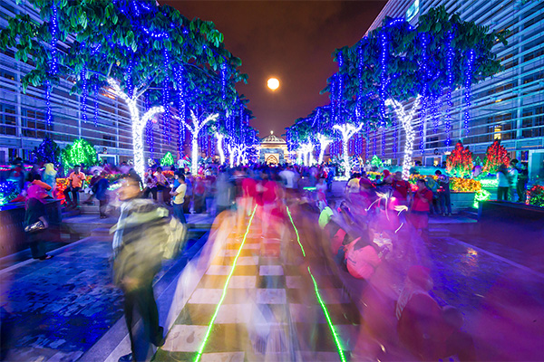 led��������