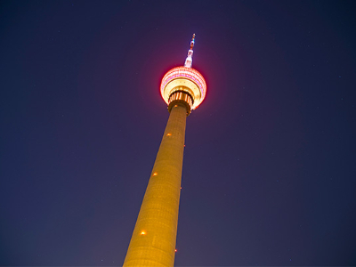 �����������-��ѡ������������