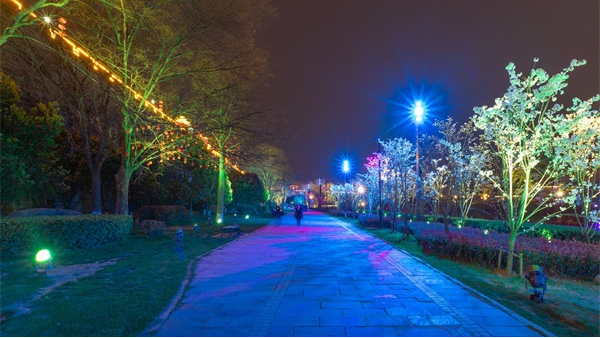 �����������������������������