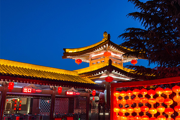 �Ž������������