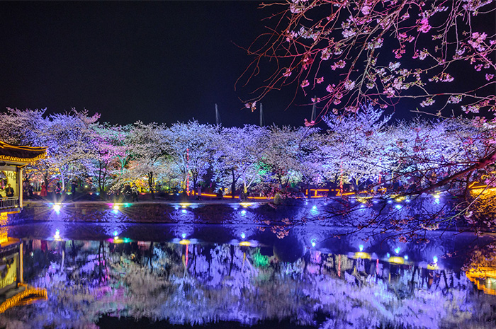 ֲ������