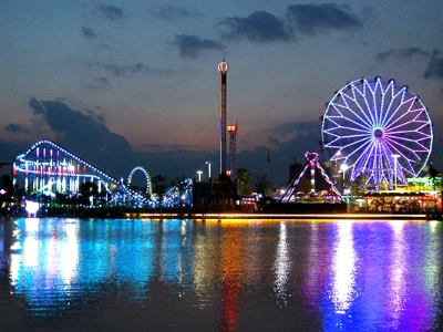 ����԰����8ͷ����һ�-֪���������Ҫ��