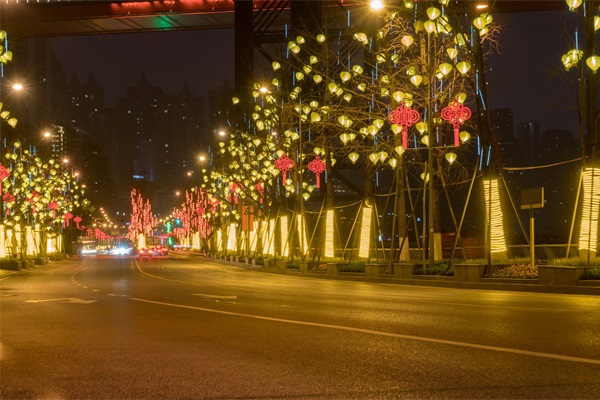 ����ֵ���������