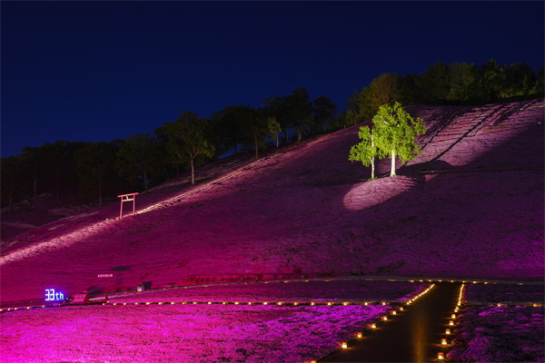 ɽ����������