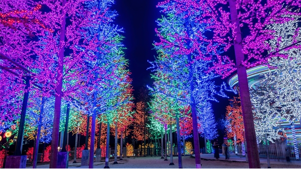 ֲ�ﾰ�������������ַ�������Щ����������